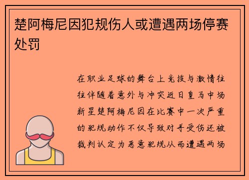 楚阿梅尼因犯规伤人或遭遇两场停赛处罚